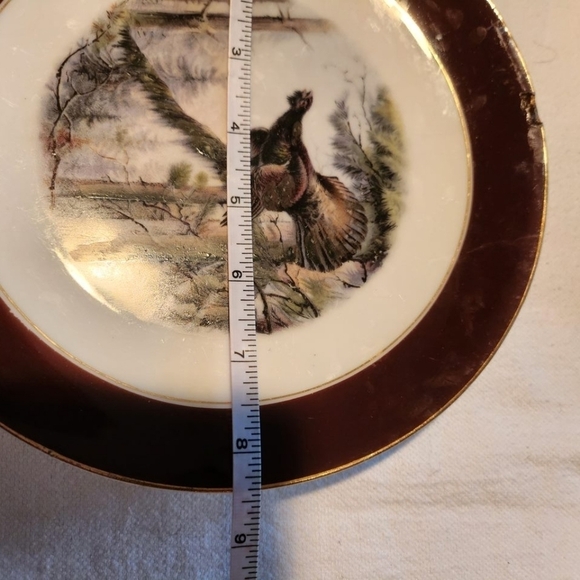 Vintage H&G Bavaria Elk‎ Mountain Scene Serving Tray w 9 Wildlife Salad Plates - Picture 16 of 16